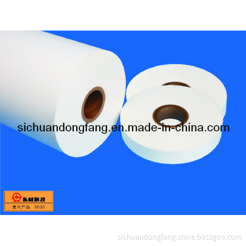 6630 Polyester Film/Polyester Non-Woven Fabric
